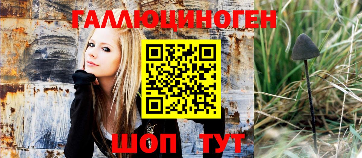 Солнечногорск  Галлюциногенные грибы Psilocybine cubensis  Вход с VPN 