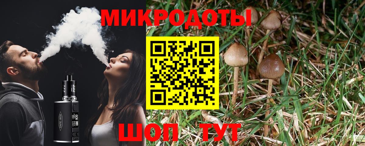 Псилоцибиновые грибы прущие грибы Солнечногорск